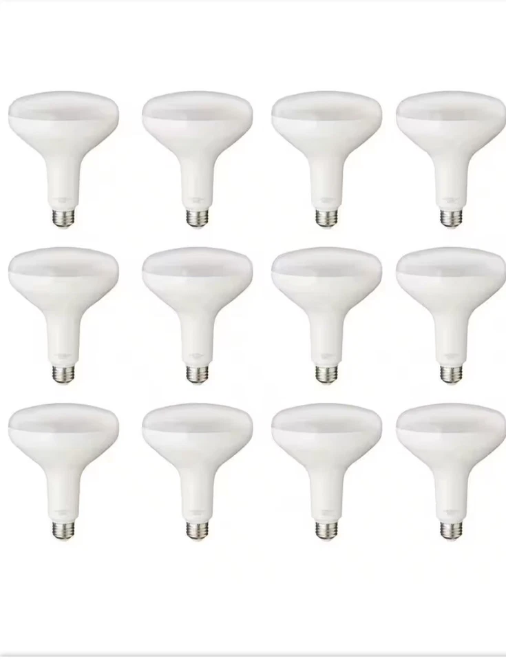 PRIVATE BRAND 75-Watt Equivalent BR40 Dimmable LED Bulb Soft White (12-Pack) - Image 1 of 3
