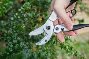 Darlac Compact Anvil Pruners DP45 Max Cut 16mm High Carbon Steel Blade - Picture 1 of 3