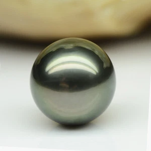 Enorme 13mm Natural Mar del Sur Tahití Negro Pavo Real Perf Redondo Suelto Perla Undril - Imagen 1 de 8