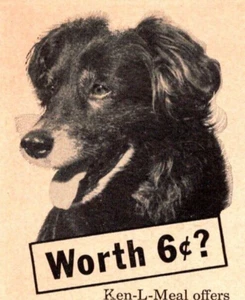 PRINT AD 1953 Ken-L Meal Dry Dog Food Mixed Breed Worth 6 Cents SMALL - Picture 1 of 2