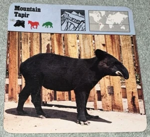 Vintage 1975 Animal Card - Mountain Tapir - Printed In Japan - Picture 1 of 4