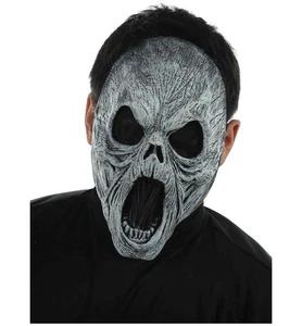 Wailing Spirit Horror Ghost Haunted Evil Spooky Halloween Mens Costume 1/2 Mask - Picture 1 of 1