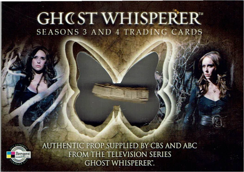 Ghost Whisperer Seasons 3 & 4 Prop Relic Material Card P5 Piece of a Vine - Image 1 of 1
