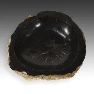 KLEINE SCHALE SCHALE BECKEN VERSTEINERTES HOLZ FOSSIL JAVA INDONESIEN UNBESTIMMTES ALTER - Bild 1 von 7