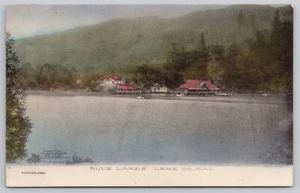 1910s Lake County CA Blue Lakes Hotel, Midlake Post Office Hand-Colored Postcard - Imagen 1 de 5