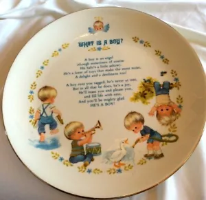 1973 Gibson Limited Ed Keepsake Plate What Is A Boy 10" materiale fotografico in ceramica - Foto 1 di 3