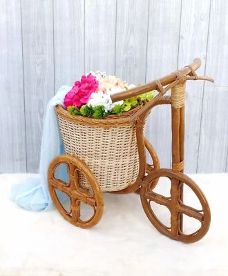 Foto de bicicleta bastón de creatividad una sensación surrealista bebés y niños pequeños hecha a mano de colección  Foto 1 de 4