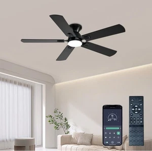 52 inch Ceiling Fans with Lights, Black Low Profile Ceiling Fan with Remote  - Picture 1 of 8