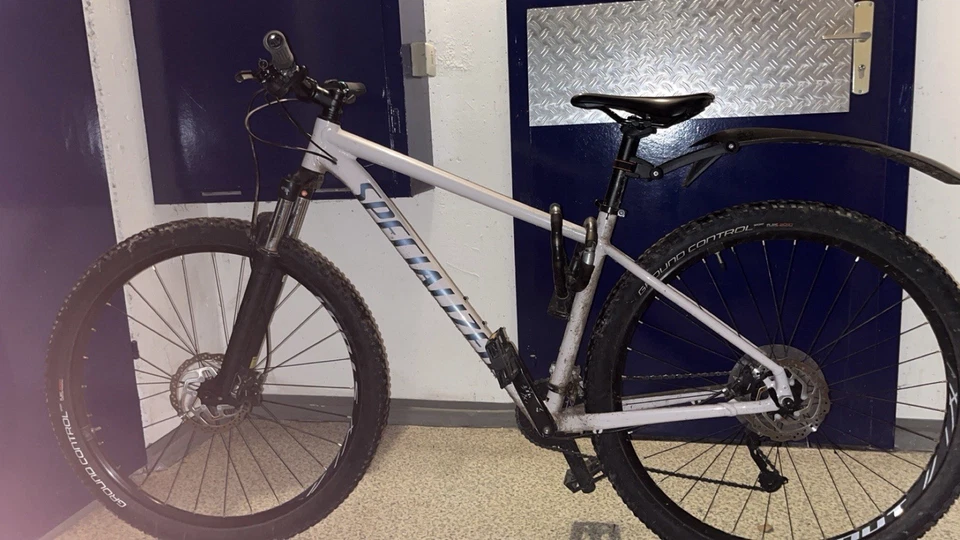 Mountainbike Specialized Rockhopper 29 - Bild 1 von 4