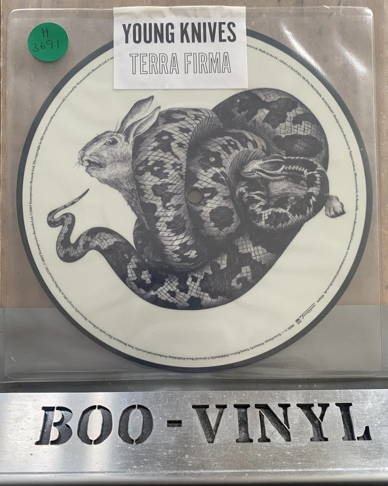 Young Knives "Terra Firma"  7" Vinyl Picture Disc Indie Rock UNOPENED MINT - Image 1 of 2