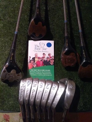 Juego completo driver PowerBilt para damas 3-5-7 maderas 3-SW hierros Countess ejes de acero  Foto 1 de 4