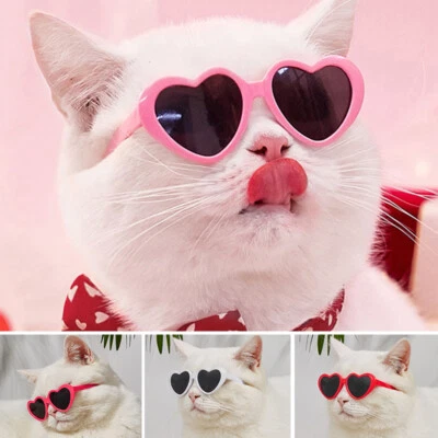 Pet Photos Props Accessories Cat Sunglasses Headwear Dog Eye Wear Pet Glasses - Image 1 of 4