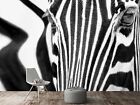 3D Zebra Head B18 Wallpaper Wall Mural Self-Adhesive Marco Carmassi Zoe