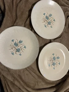 Vintage 9 Zoll Essteller blaue Blume verrückt Silberrand 3er Set - Bild 1 von 15