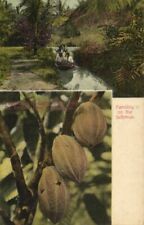PC CPA NICARAGUA, BLUEFIELD, PORT SCENE, Vintage Postcard (b22242)