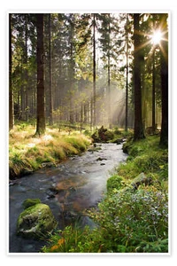 Poster Bode im Harz - Dave Derbis - Bild 1 von 7
