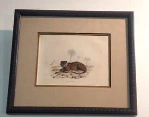 Vintage Tiger Print Framed Rare Size - Picture 1 of 3