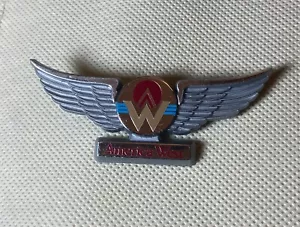 America West Airlines Junior Crew Pilot Wings Pin 2.75" Collectable Kid Souvenir - Picture 1 of 11