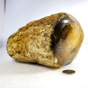 4.8Kg TOP 4Natural Yellow Opalized Petrified Wood Double Polished Rough Specimen - Picture 1 of 9