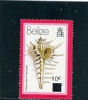 Belize 1979 shells Scott# 423 Mint NH