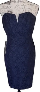 NWT J Crew Navy Blue Strapless Floral Lace Sheath Dress Size 0 - Picture 1 of 6