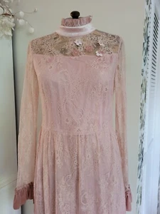 Pink Mary Maxi Lace Cottagecore Prairy Floral Pink Dress Velvet Accents Lined - Picture 1 of 13