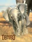 A3/A4 SIZE - ELEPHANTS TEMBO WALL DECOR / GIFT ART PRINT POSTER # 3