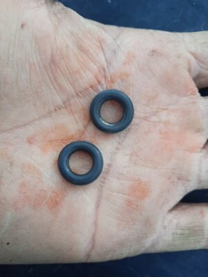 2x orings solo para Jaguar XJ6 riel inyector de combustible riel de línea de gas 1995-1997 Foto 1 de 4