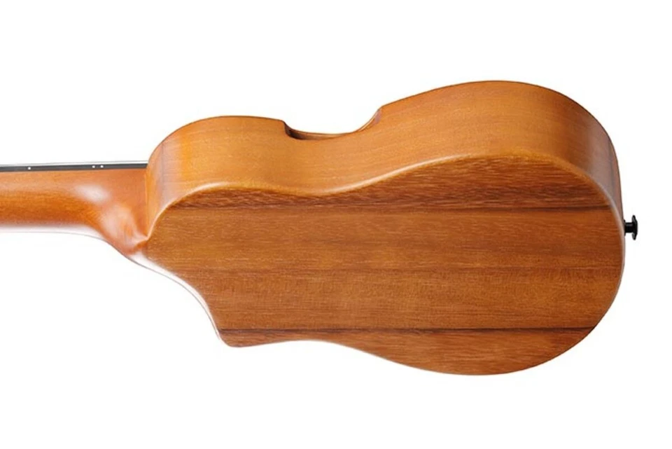 IBANEZ AUP10NOLB CHITARRE CLASSICHE - Изображение 1 из 1