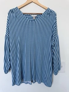 Christopher & Banks Womens Large Blue Striped Long Sleeved V-Neck Blouse - Picture 1 of 6
