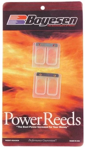 Cañas eléctricas Boyesen de doble etapa 606 Foto 1 de 4