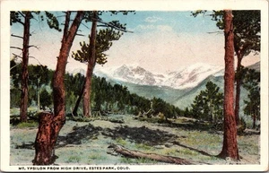 MT. YPSILON from High Drive ESTES PARK, Colorado CO unused Postcard - Picture 1 of 2