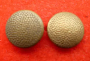 PAIR OF GERMAN BRONZE "PEBBLEDASH" CAP BUTTONS 12MM IDEAL FOR RE-ENACTORS - Foto 1 di 2