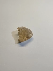 Top Quality Oregon Sunstone Rough Gemstone Cutting Carving Jewelry 13.45 Carats - Picture 1 of 10