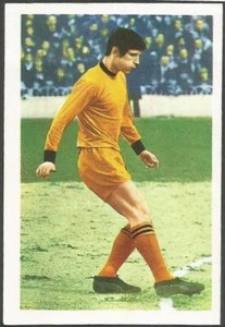 FKS 1969/70 WONDERFUL WORLD OF SOCCER-#330-WOLVES-DAVID WOODFIELD