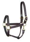 Perri's Premium Track Style Leather Halter With Snap