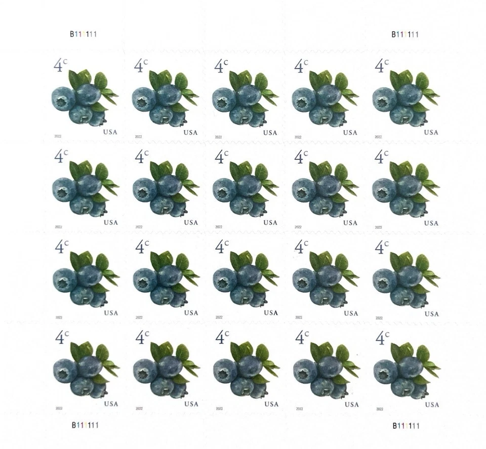 USA 2024 KB Blueberry Blaubeere 4c Myrtille Arandano Bosbes Mirtillo ブルーベリー 越橘 - Bild 1 von 1