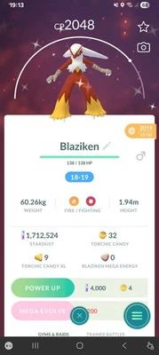 Brillante Blaziken Pokemon Garantizado Suerte Con Legado Movimiento Explosión Quemar 3 Movimientos... - Imagen 1 de 2