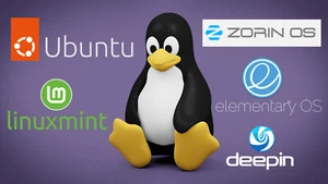 Ubuntu, Linux Mint, Zorin OS, Elementary OS - Preloaded Drive (for Mac & PC) (5) - Picture 1 of 59