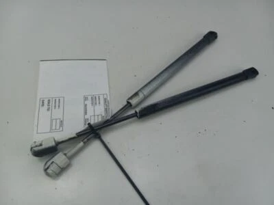 Ford F150 1999 puntales de soporte para capó elevador izquierdo derecho Foto 1 de 4