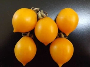 Tomate Giagiu - más de 10 semillas - ¡Semillas vegetales de reliquia! P 328 - Imagen 1 de 1