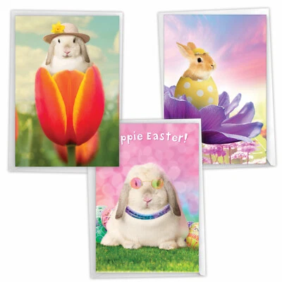 Asst. 3 Hilarious Easter Cards w/ Env. - 3 Designs, 1 Each -Flower Power Rabbits - Image 1 of 4