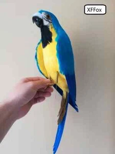big blue&yellow foam&feather simulation little wings parrot bird gift about 45cm - Picture 1 of 4