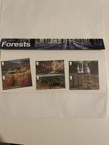 GB PRESENTATION PACK 574 SG 4247-4252 MNH MINT STAMP SET 2019 FORESTS - Picture 1 of 6