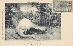 Congo Brazzaville - An elephant - Publ. G. Giraud 30 - - Congo Brazzaville - Un - Picture 1 of 2