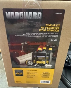 Briggs & Stratton Vanguard OEM Maintenance Tune Up Kit 84002315 - Picture 1 of 1