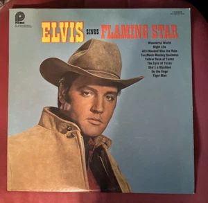 Elvis Presley Sings Flaming Star - PICKWICK CAMDEN Vinyl LP Schallplatte - CAS-2304 - Bild 1 von 16
