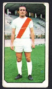 FELINES - RAYO VALLECANO 1977-78 CROMO LA LIGA ESTE 77/78 PANINI NUNCA PEGADO - Imagen 1 de 4