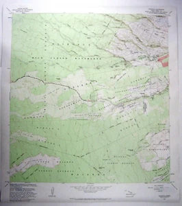 Hilo Hawaii USGS Topographical Map Piihonua Quadrangle 24" X 27" 1981 - Picture 1 of 7