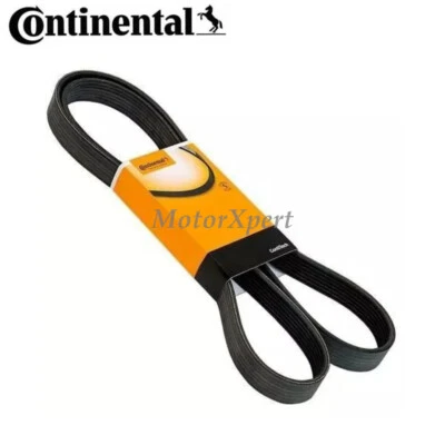 Continental Belt 11287529741 for BMW 545i 550i 650i 745i 750i 760i 760Li X5 4.8L - Image 1 of 3